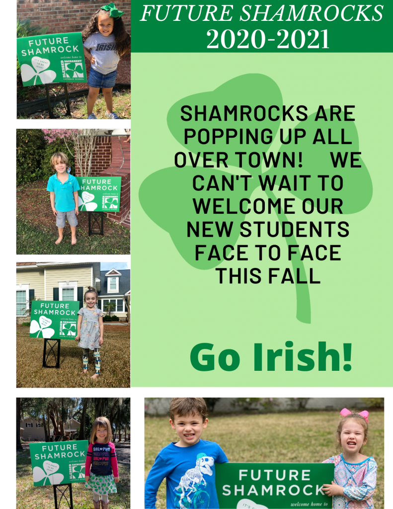 It's Springtime in Savannah and shamrocks are popping up all over!  